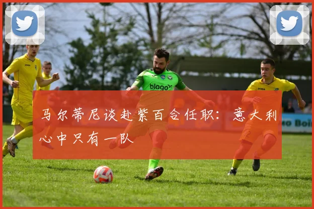 马尔蒂尼谈赴紫百合任职：意大利心中只有一队