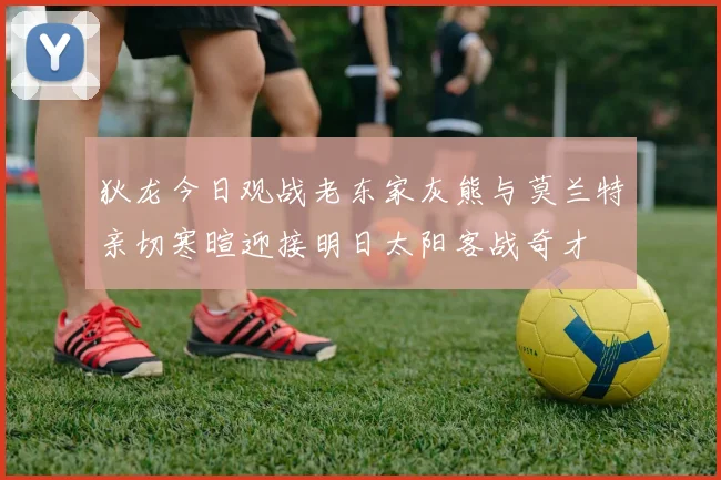狄龙今日观战老东家灰熊与莫兰特亲切寒暄迎接明日太阳客战奇才