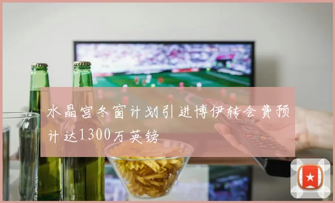 水晶宫冬窗计划引进博伊转会费预计达1300万英镑
