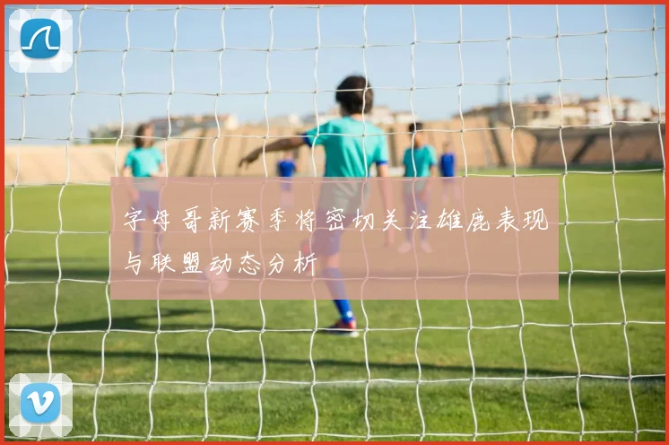 字母哥新赛季将密切关注雄鹿表现与联盟动态分析