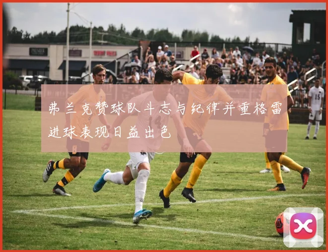 弗兰克赞球队斗志与纪律并重格雷进球表现日益出色