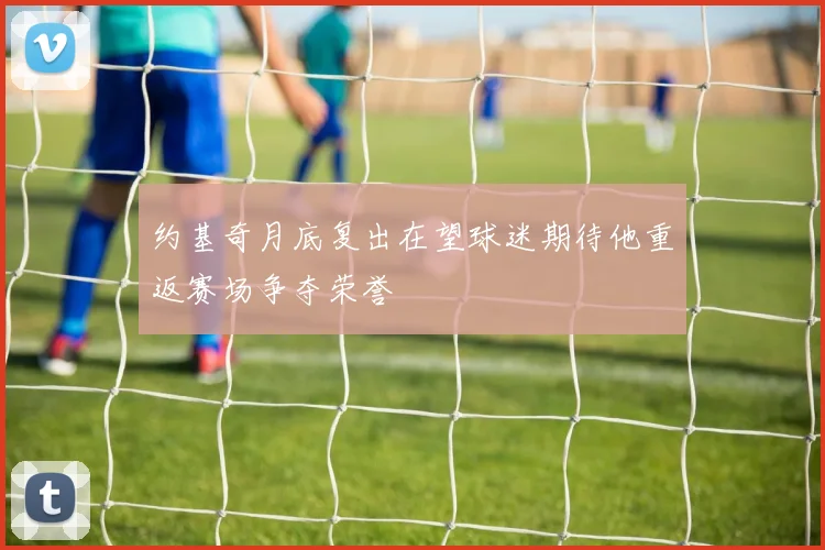 约基奇月底复出在望球迷期待他重返赛场争夺荣誉
