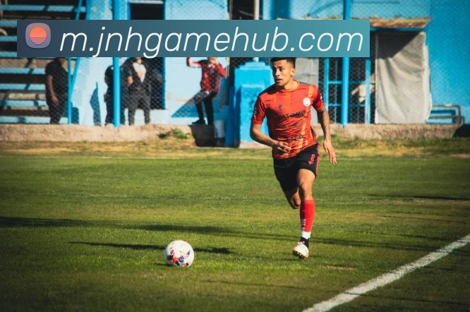 金年会平台生态图