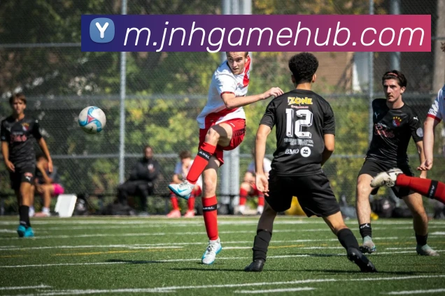 金年会APP 封面图